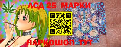 a pvp Кингисепп
