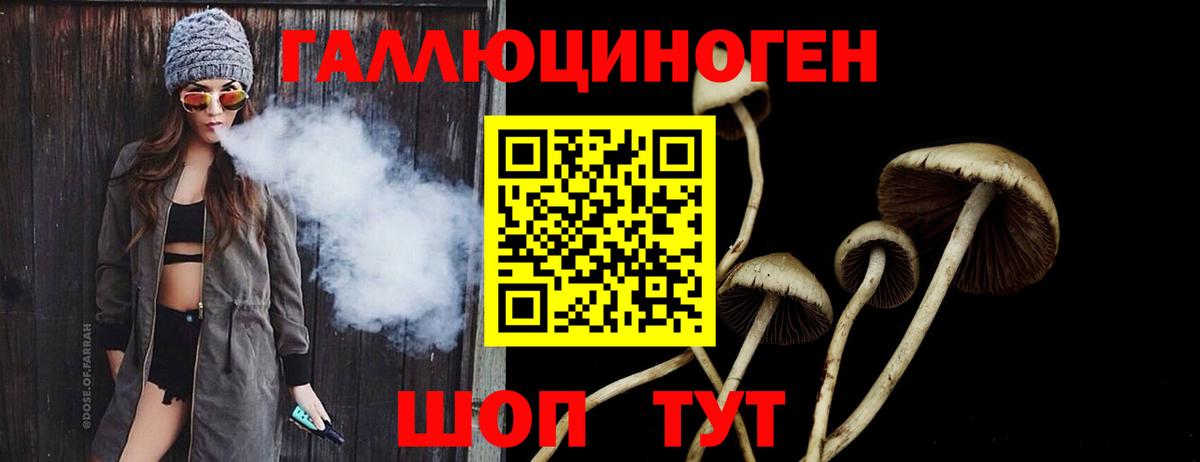 Галлюциногенные грибы Psilocybine cubensis Янаул